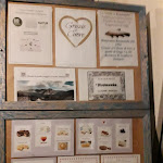 Photo n°18 de l'avis de Mauro.e fait le 26/04/2022 à 10:30 sur le  Rosmunda à Clusane