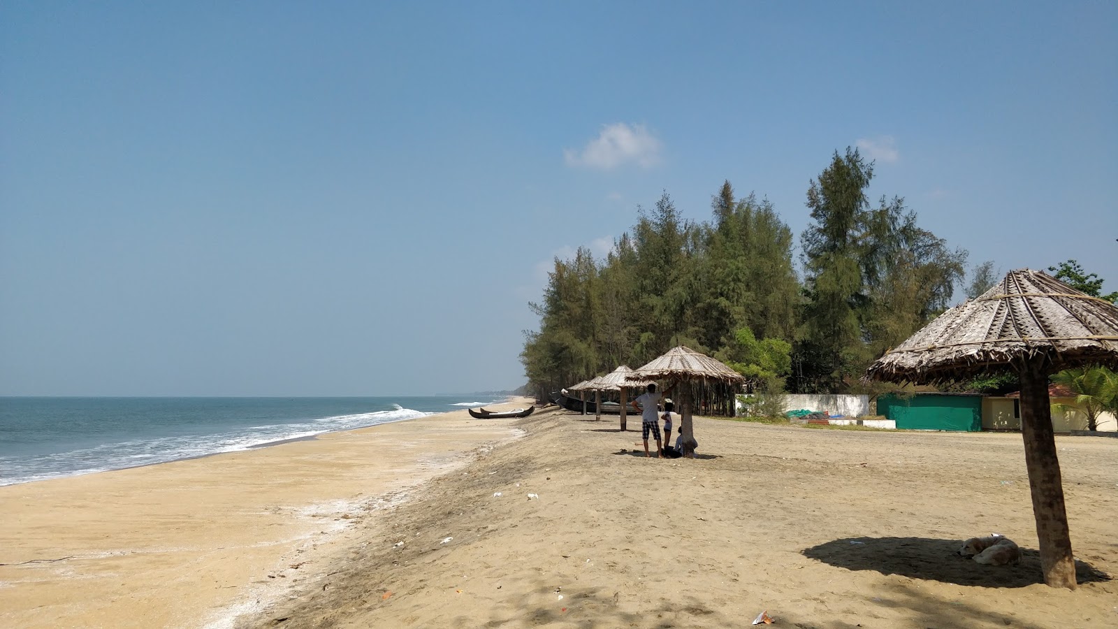 Foto di Kuzhuppilly Beach con una superficie del sabbia beige