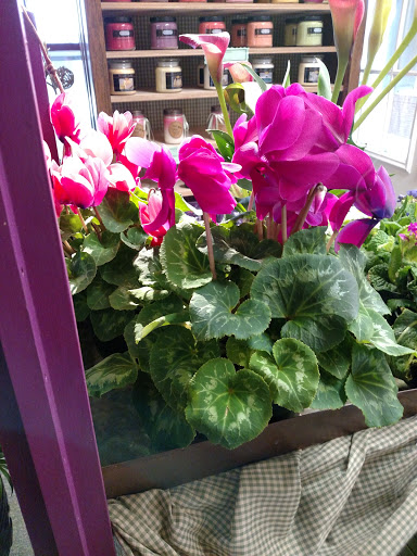 Florist «Rose Garden Florist», reviews and photos, 257 S Main St, Barnegat, NJ 08005, USA