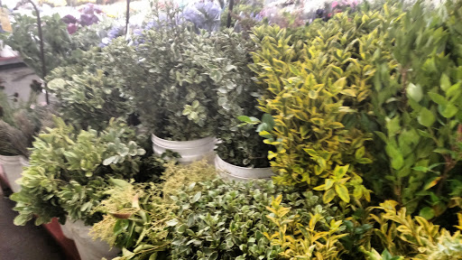 Wholesale Florist «Oakland Flower Market», reviews and photos, 821 Jefferson St, Oakland, CA 94607, USA
