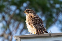 Highlands Media FL | Real Estate Media - Photography, Video, Drone, 3D Tours - Photo 8 - Car repair in , Deltona