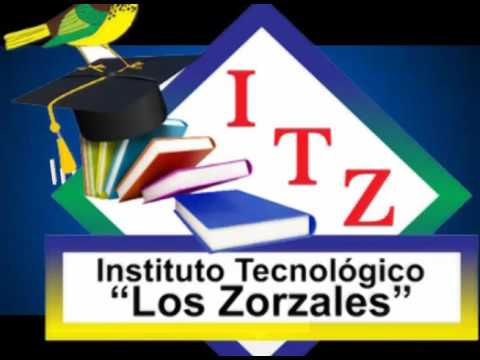 Instituto Tecnológico Los Zorzales