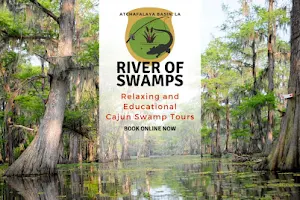 River of Swamps Boat Tours image