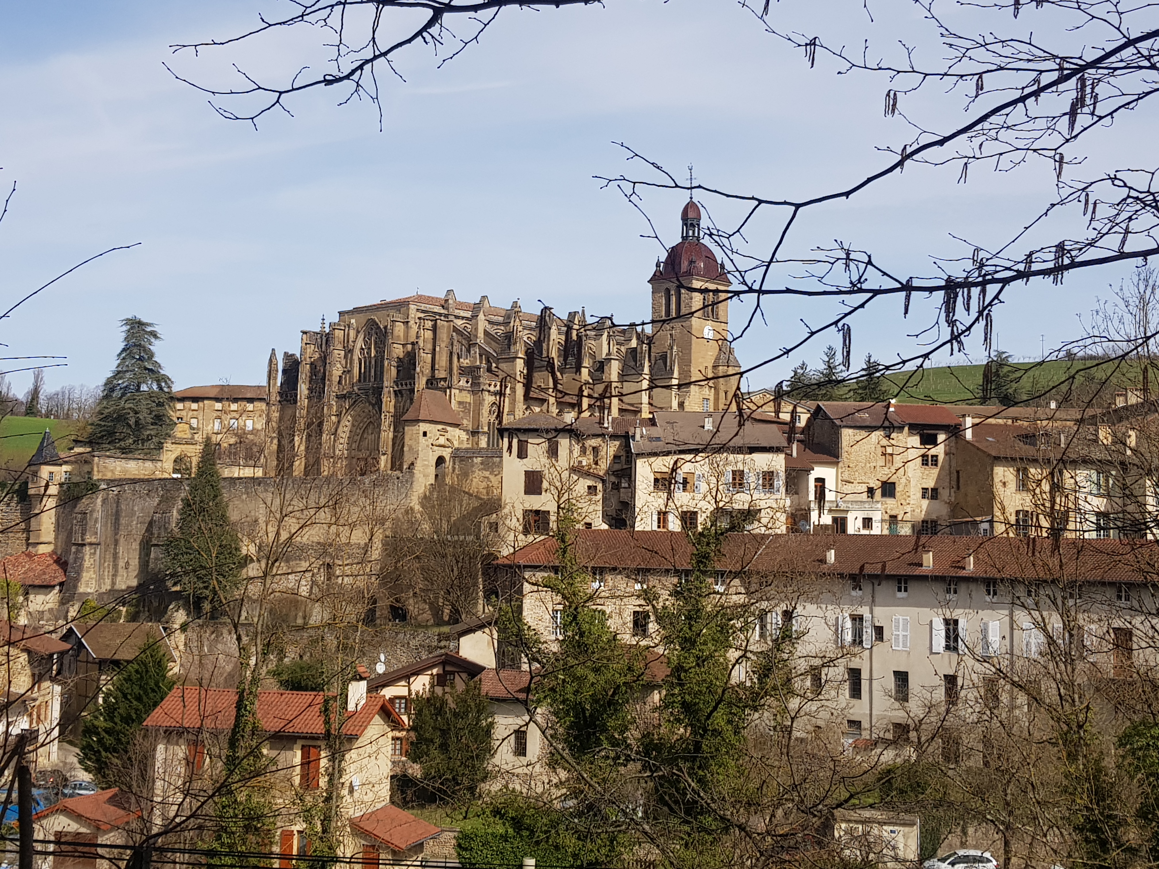 Photo n° 1 de l'avis de C..a fait le 16/03/2022 à 18:41