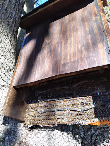 Non-Profit Organization «Habitat For Humanity Restore», reviews and photos