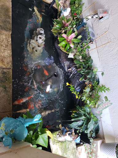 Pet Supply Store «Petco Animal Supplies», reviews and photos, 8111 W Broward Blvd, Plantation, FL 33324, USA