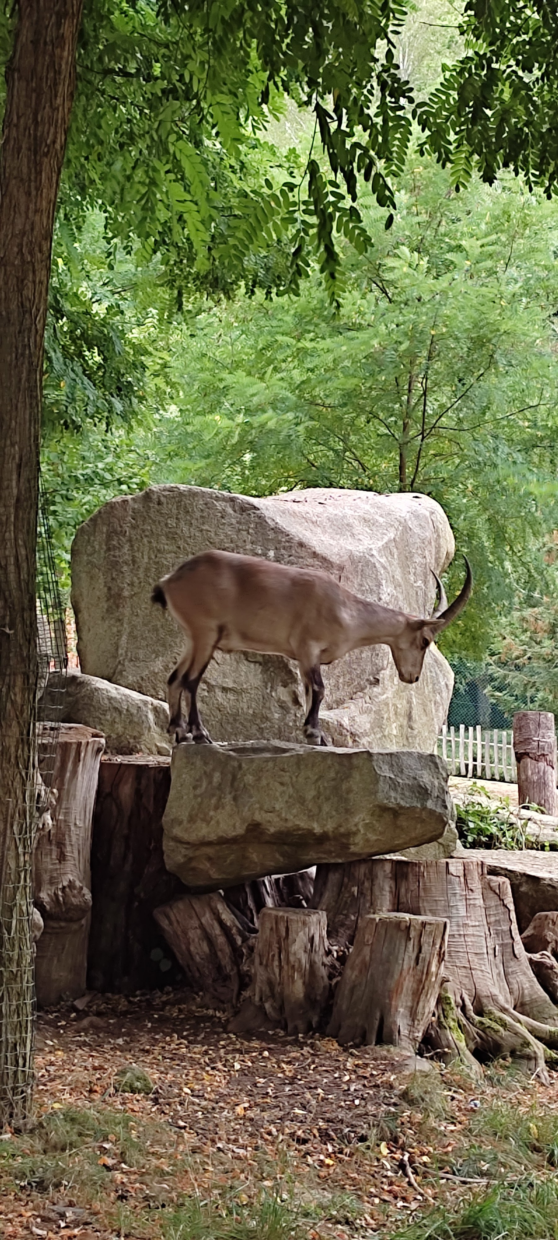 Photo n° 1 de l'avis de Jean-Michel.o fait le 02/08/2022 à 16:15