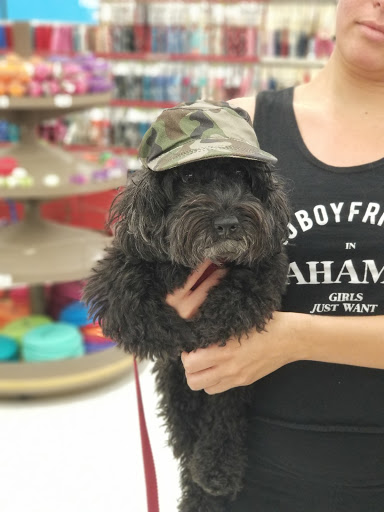 Pet Supply Store «Petco Animal Supplies», reviews and photos, 13127 N Dale Mabry Hwy, Tampa, FL 33618, USA