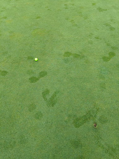 Golf Course «Cable Hollow Golf Course», reviews and photos, 405 Norberg Rd, Russell, PA 16345, USA