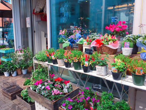 駅前花壇 花屋