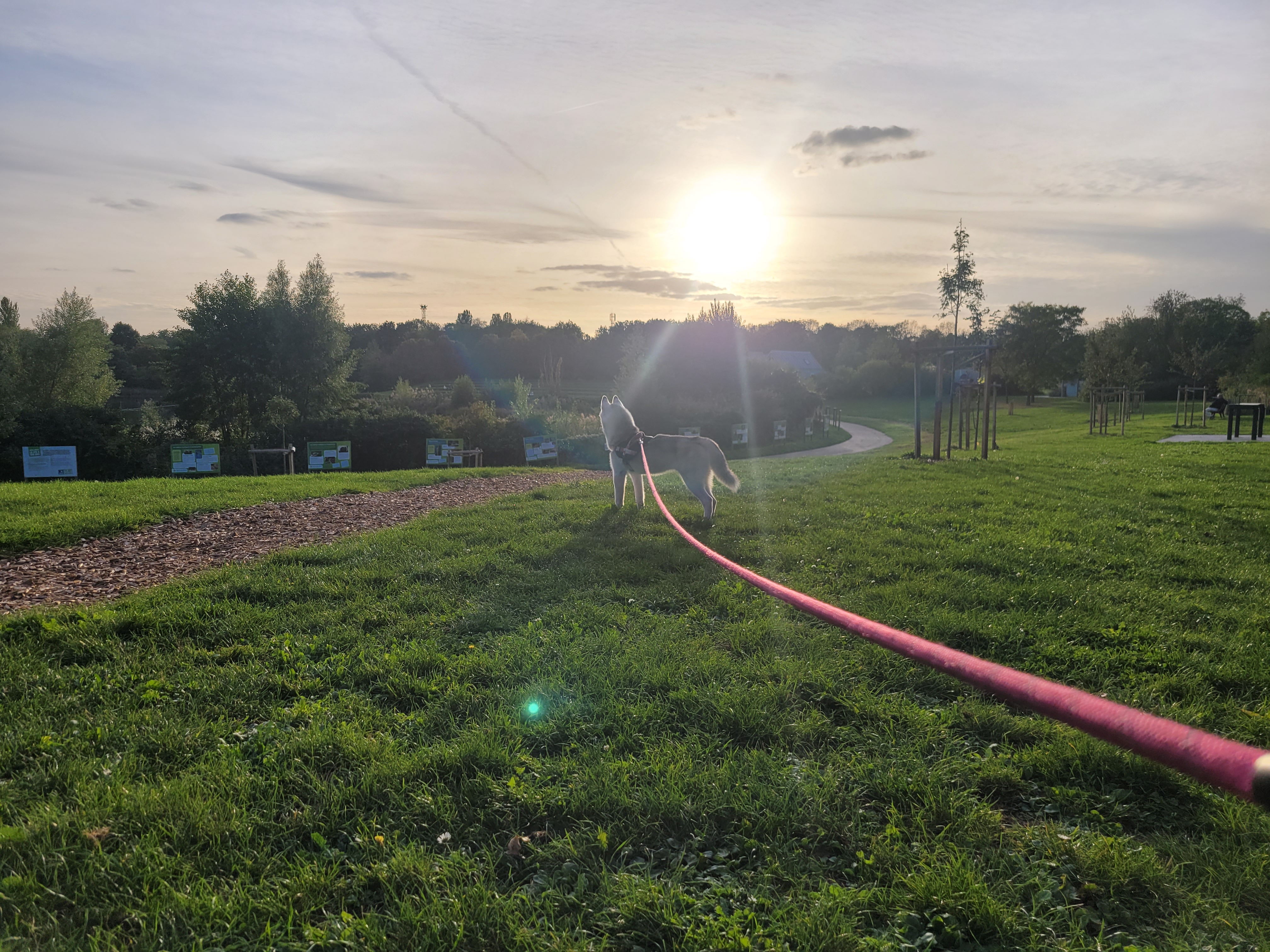 Photo n° 1 de l'avis de Jean-baptiste.a fait le 05/10/2023 à 16:00