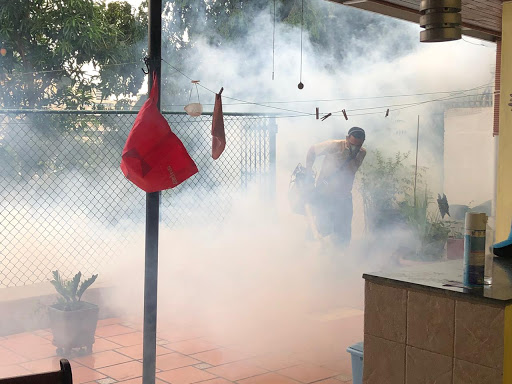 Fumiteq Panama | Servicios de Fumigacion
