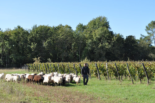 Château Fontesteau 🍇 Vin BIO à Saint-Sauveur