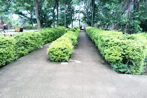 BTI Garden image