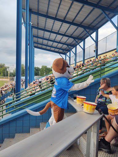 Stadium «C.O. Brown Stadium», reviews and photos, 1392 Capital Ave NE, Battle Creek, MI 49017, USA