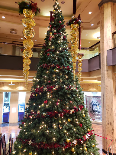 Movie Theater «AMC Mazza Gallerie», reviews and photos, 5300 Wisconsin Ave NW, Washington, DC 20015, USA