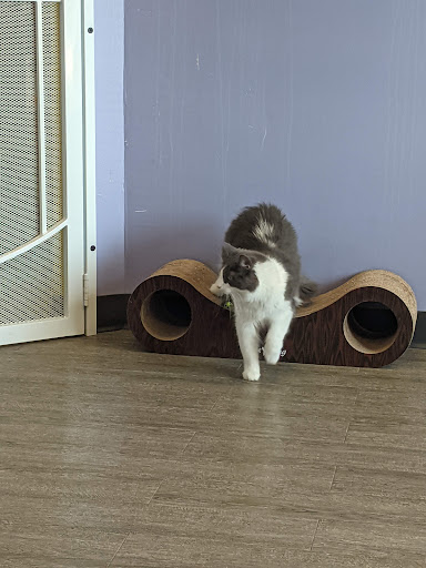 Pet Supply Store «Animal House Pet Supplies», reviews and photos, 733 Phillips Blvd, Sauk City, WI 53583, USA