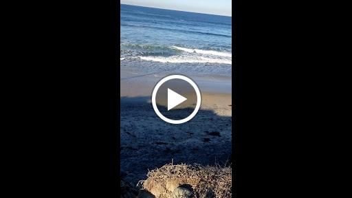 Health Food Store «Sprouts Farmers Market», reviews and photos, 225 E 17th St, Costa Mesa, CA 92627, USA