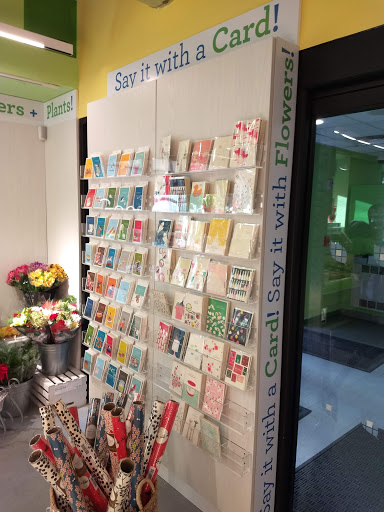 Grocery Store «Elm City Market», reviews and photos, 777 Chapel St, New Haven, CT 06510, USA