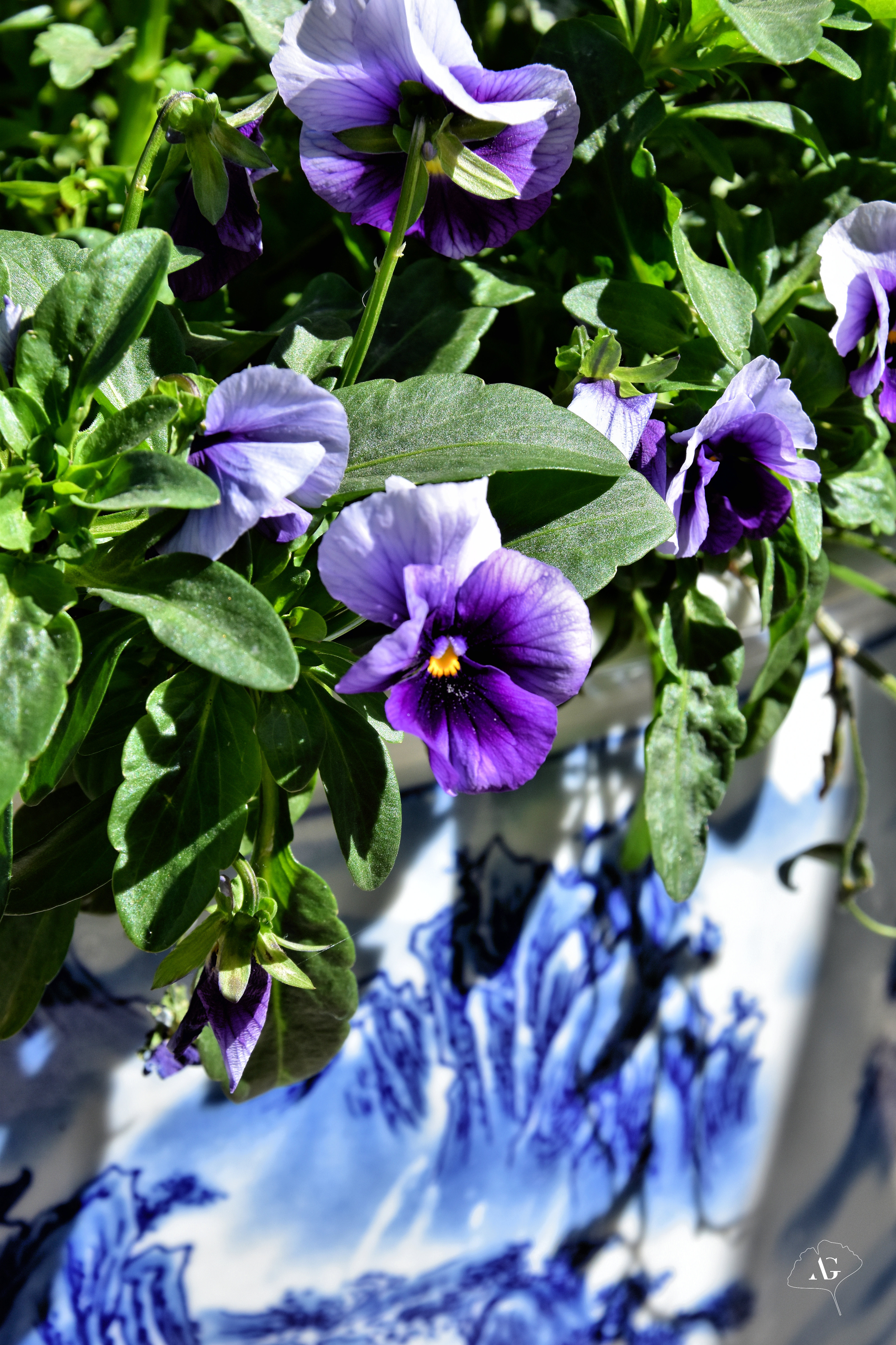 Photo n° 33 de l'avis de Audrey.. fait le 17/05/2022 à 09:49