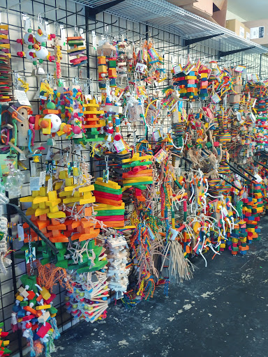 Pet Store «Perky Pets», reviews and photos, 4515 Palm Beach Blvd d, Fort Myers, FL 33905, USA