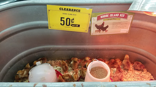 Home Improvement Store «Tractor Supply Co.», reviews and photos, 2619 US-1, Mims, FL 32754, USA