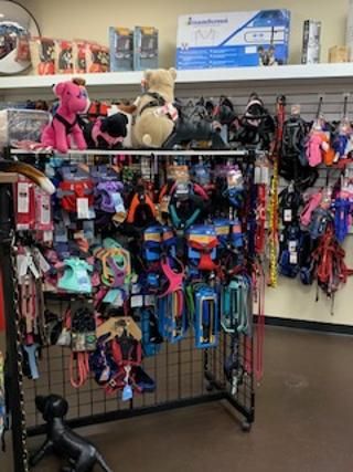 Pet Store «Island Dog», reviews and photos, 410 Mallery St, Saint Simons Island, GA 31522, USA