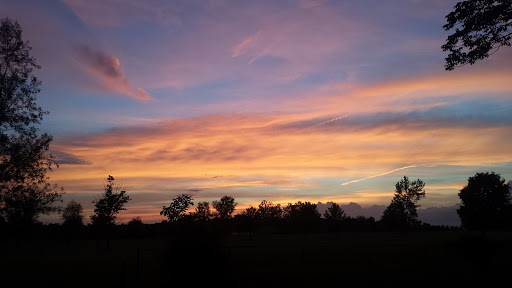 Golf Course «Bent Tree Golf Course», reviews and photos, 14618 E County Road 400N, Charleston, IL 61920, USA