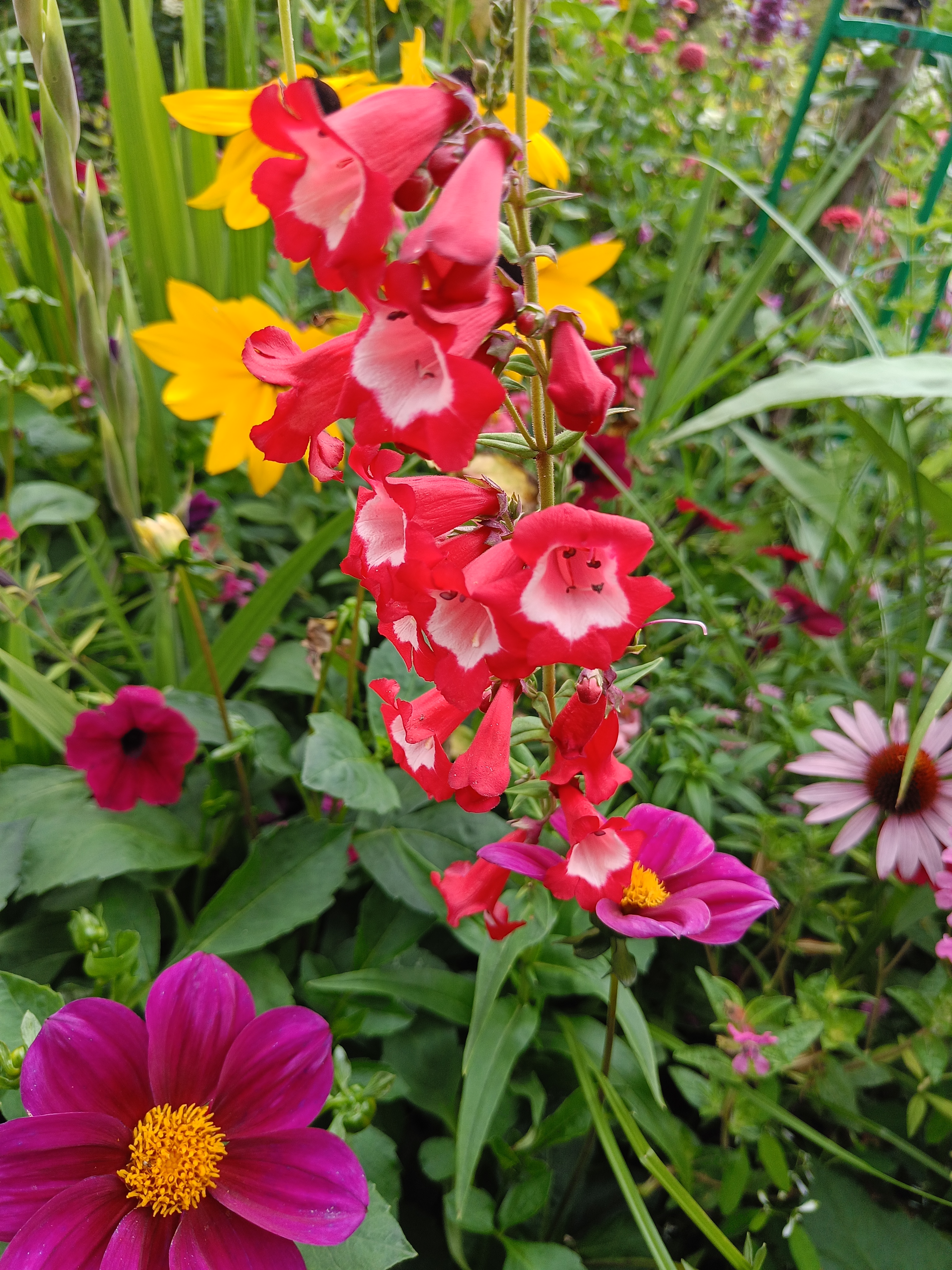 Photo n° 8 de l'avis de Eliot.o fait le 28/07/2023 à 16:35