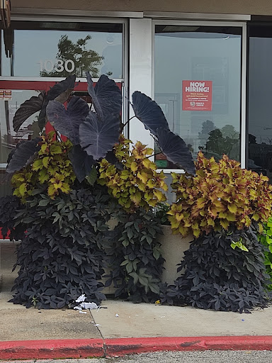 Shopping Mall «Winston Plaza», reviews and photos, 1254 Winston Plaza, Melrose Park, IL 60160, USA