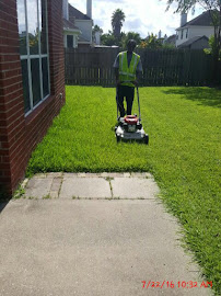 Moses Pool, Spa & Landscaping - Photo 6 - Car repair in , Houston