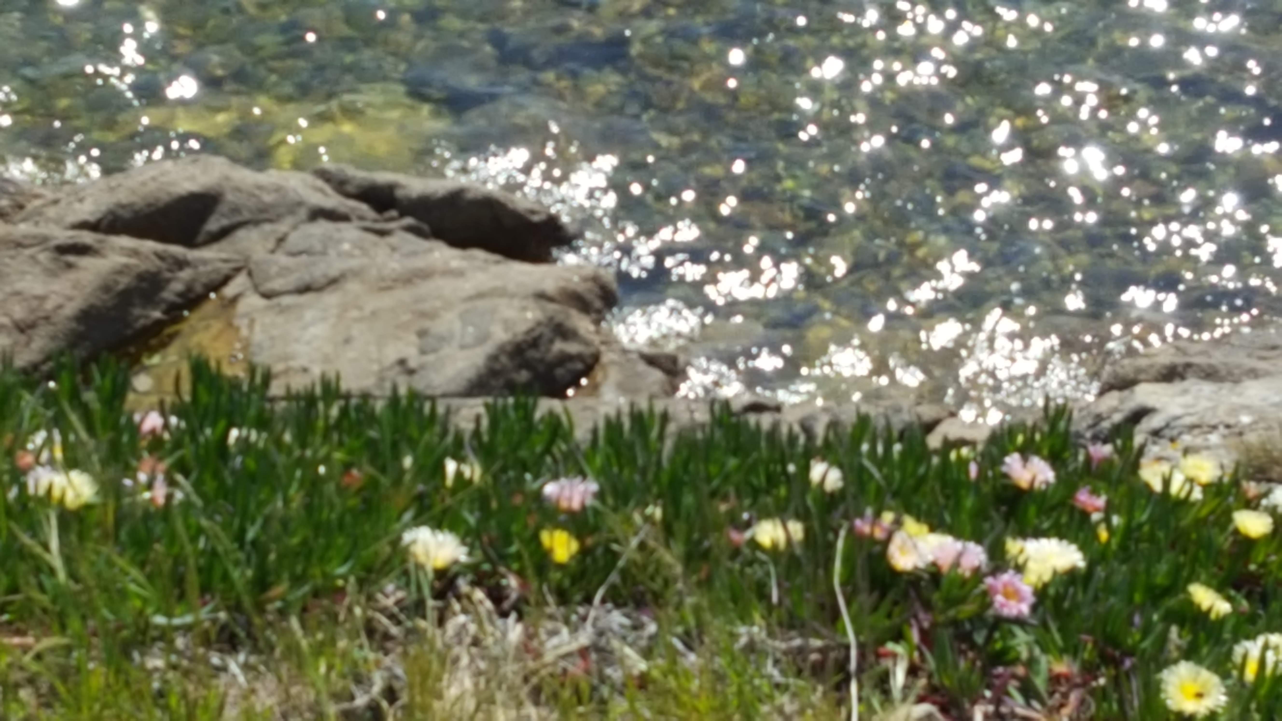 Photo n° 6 de l'avis de Corinne.e fait le 12/05/2019 à 18:51