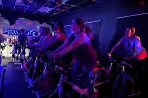 Pedal Life Cycle the Club image