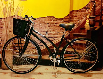 Pino Urban Bikes