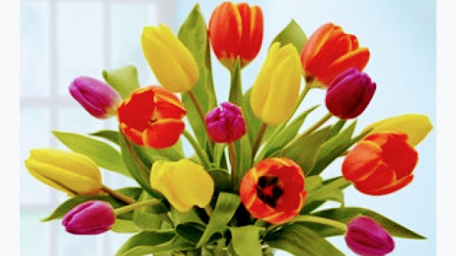 Florist «Southport Blooms», reviews and photos, 3717 N Southport Ave, Chicago, IL 60613, USA