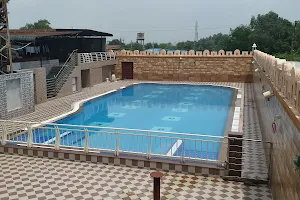 Dolphin Pools image