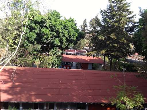 Escuela Secundaria Técnica 99