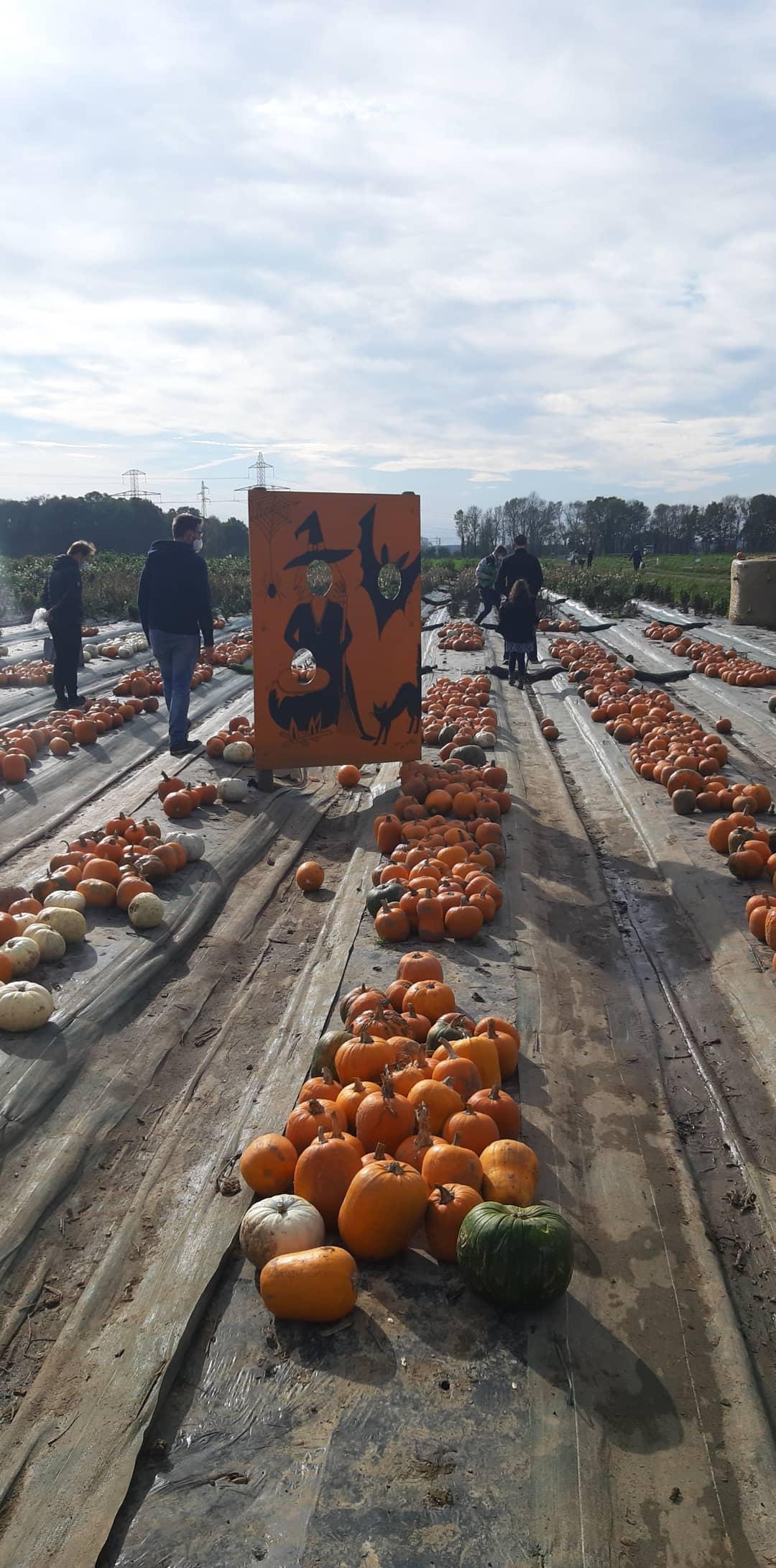 Photo n° 4 de l'avis de amandine.a fait le 31/10/2020 à 16:12