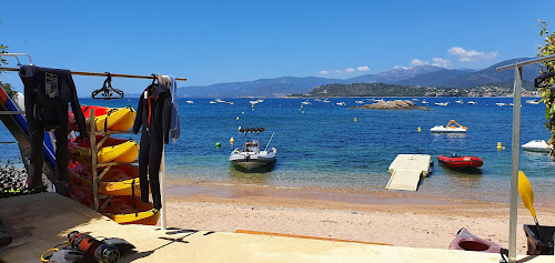 Orcino Marine photo #2