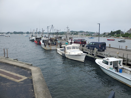 Aquarium «Woods Hole Science Aquarium», reviews and photos, 166 Water St, Woods Hole, MA 02543, USA