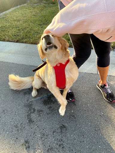 Country Club «Rosedale Golf & Country Club», reviews and photos, 5100 87th St E, Bradenton, FL 34211, USA