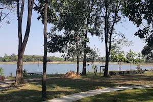 Phu Pha Daen Forest Park image