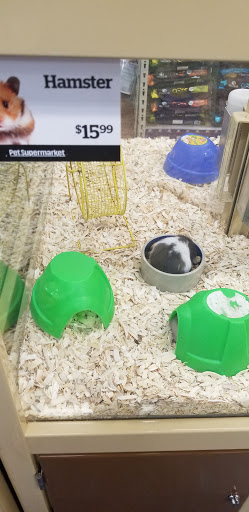 Pet Supply Store «Pet Supermarket», reviews and photos, 3821 S Cobb Dr, Smyrna, GA 30080, USA