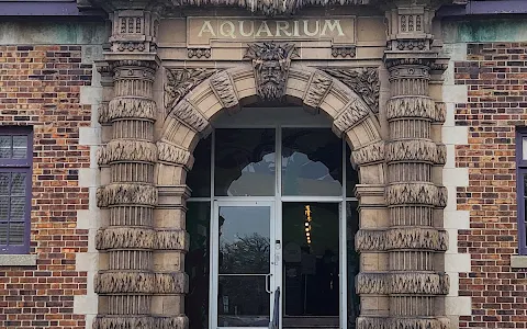 Belle Isle Aquarium image