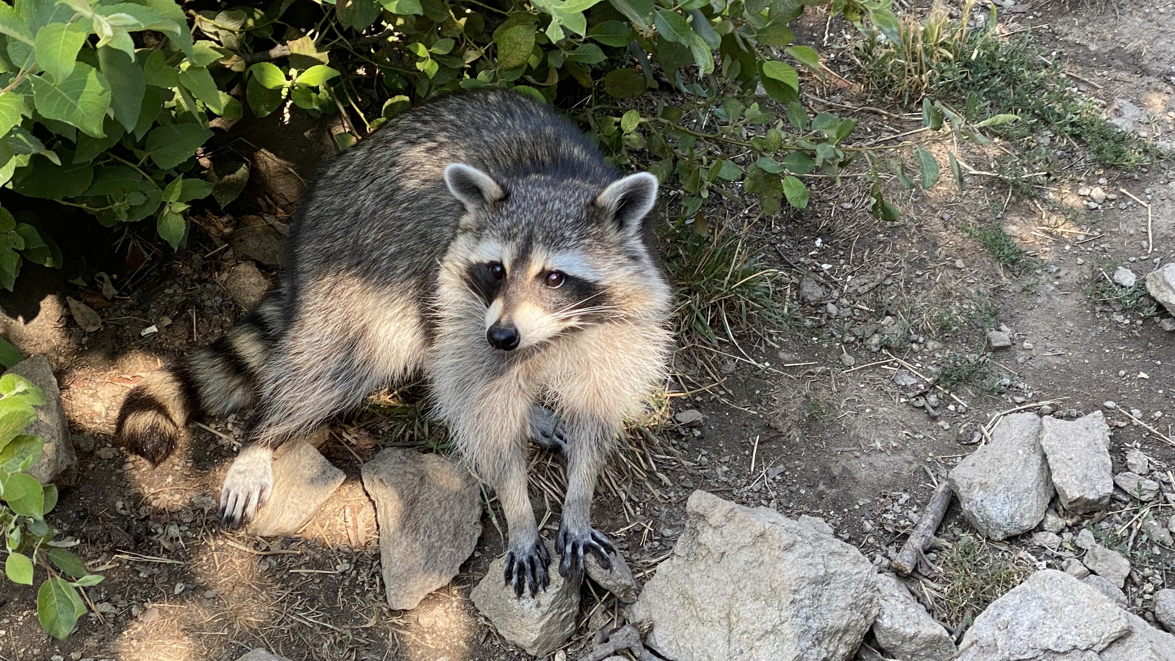 Photo n° 27 de l'avis de Olivier.e fait le 06/08/2022 à 17:29