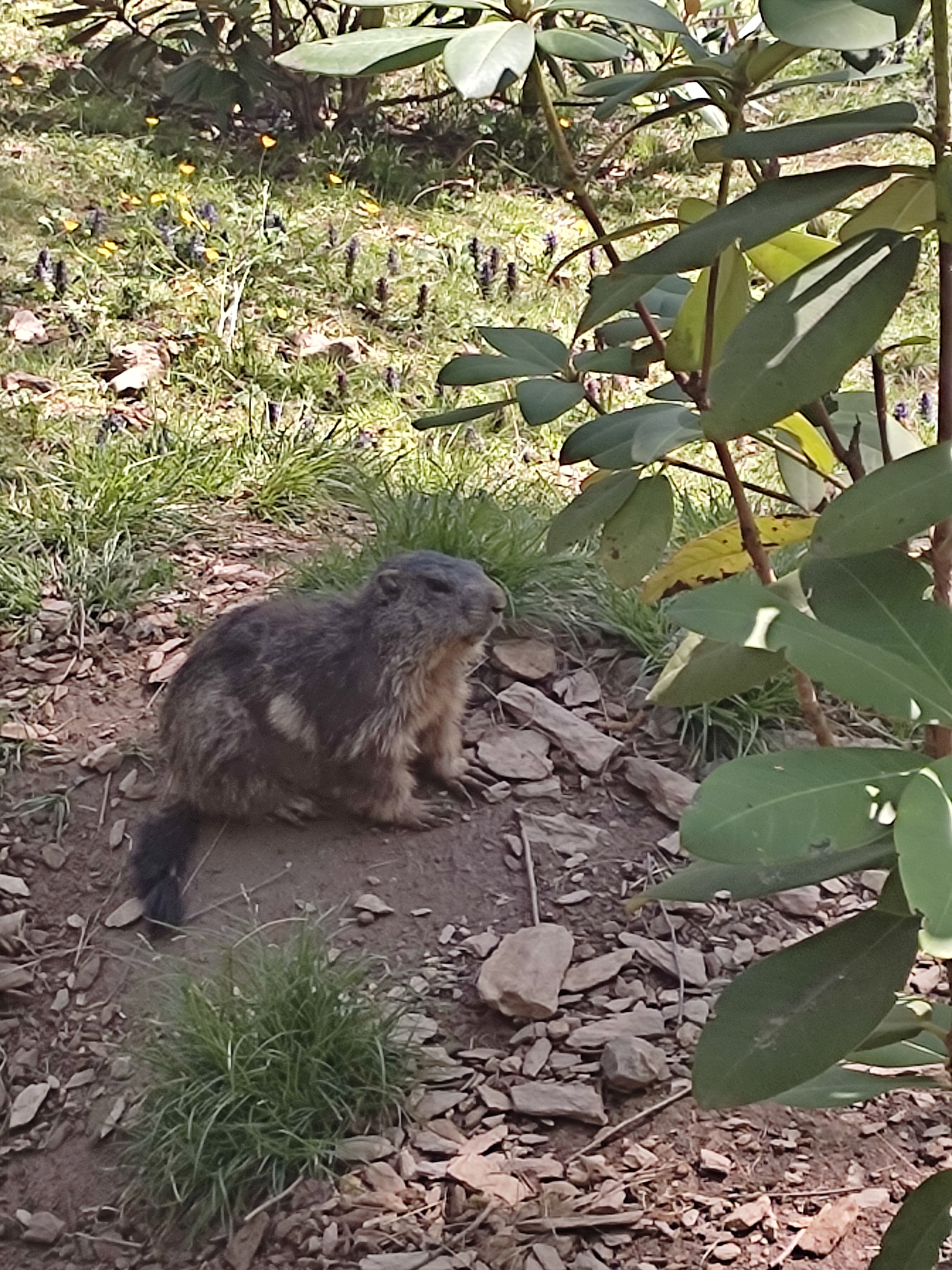 Photo n° 2 de l'avis de Delphine.e fait le 21/04/2023 à 09:11