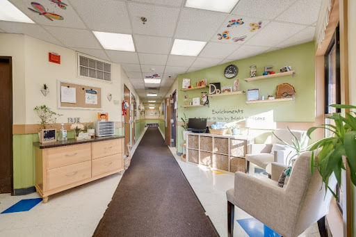 Day Care Center «Bright Horizons at Midtown Detroit», reviews and photos, 1110 Seward Ave, Detroit, MI 48202, USA