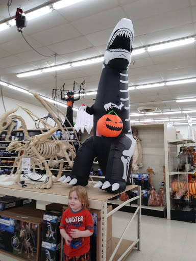 Discount Store «Big Lots», reviews and photos, 4840 Allen Rd, Zephyrhills, FL 33541, USA