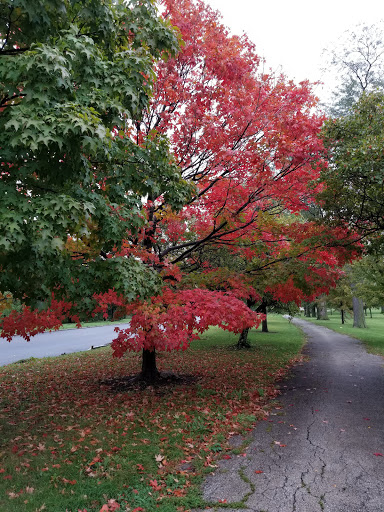 Park «Marquette Park», reviews and photos, 6743 S Kedzie Ave, Chicago, IL 60629, USA