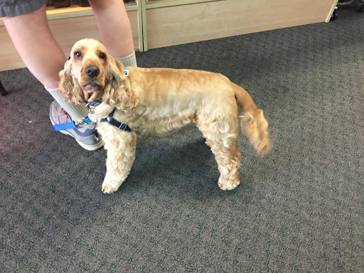 Computer Repair Service «Fixoid - Computer & Cell Phone, Ipad, iPhone, Samsung Repair - West Linn», reviews and photos, 21110 Salamo Rd, West Linn, OR 97068, USA